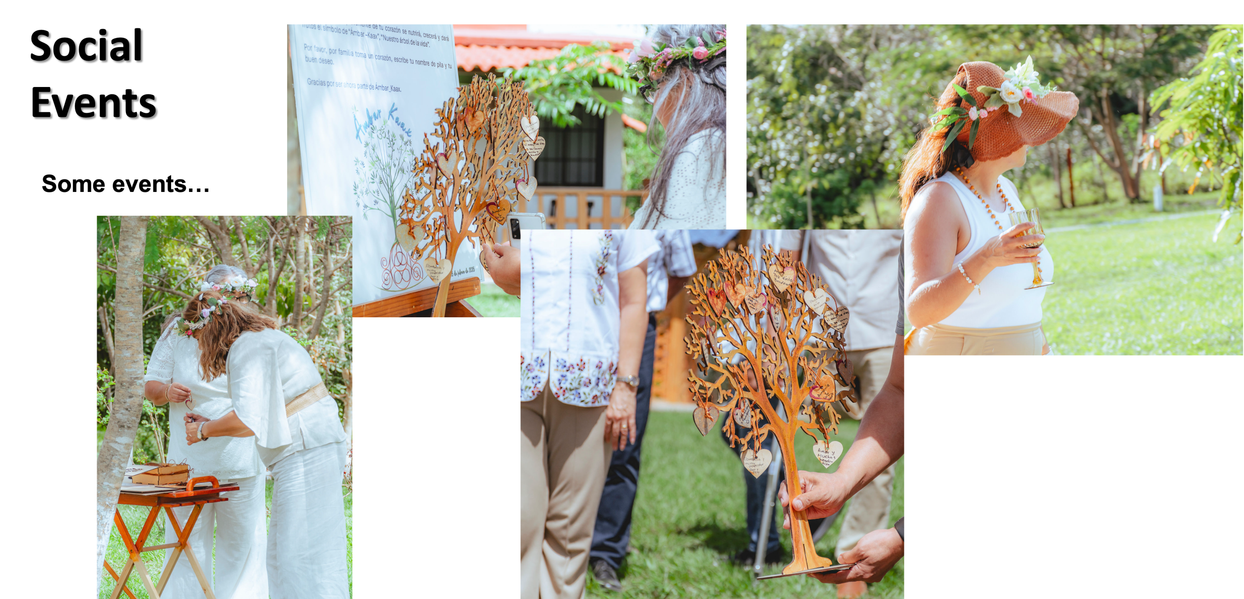 renta de salon para eventos en palenque