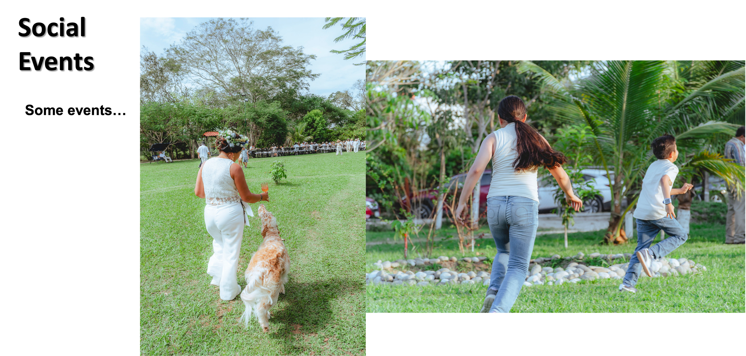 renta de salon para eventos en palenque