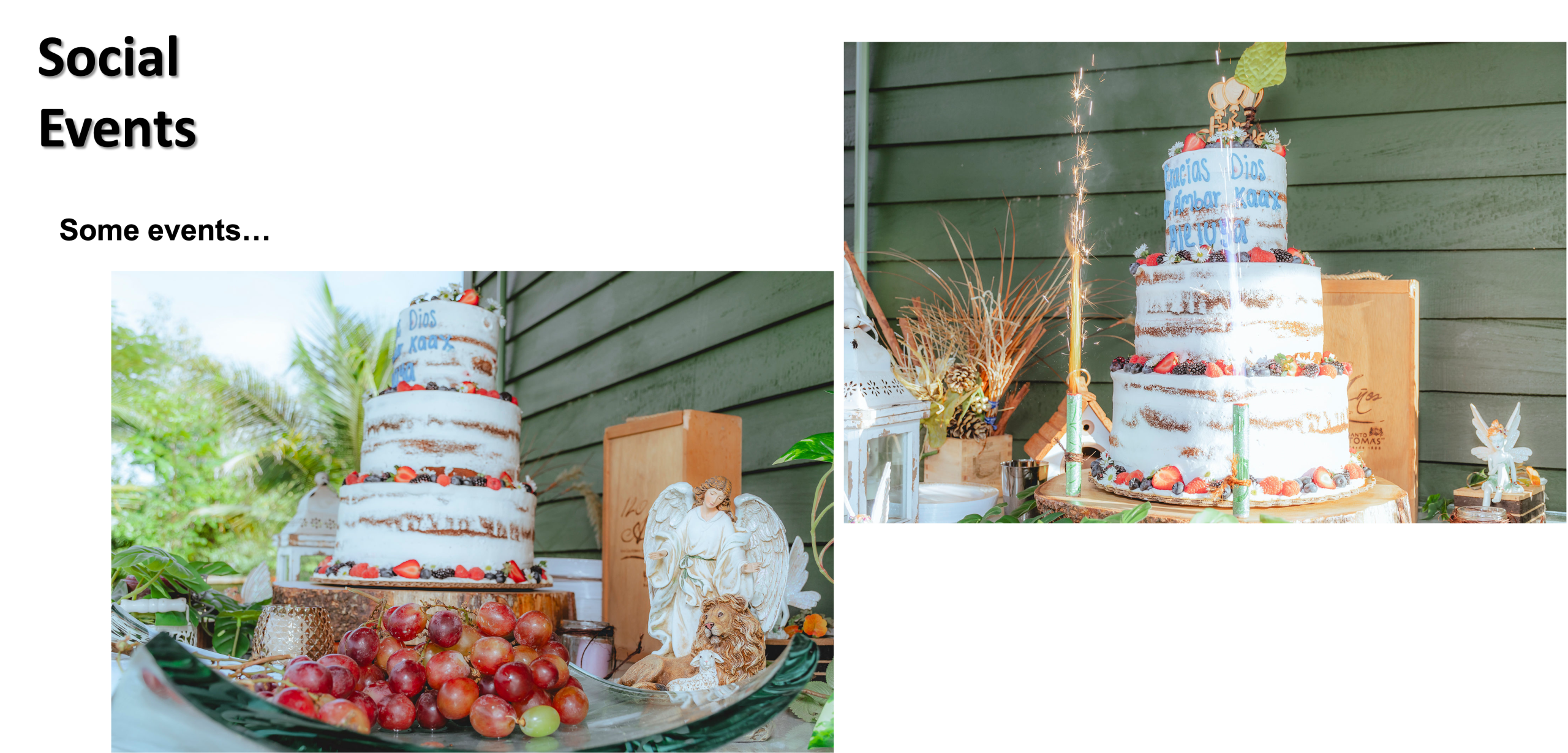 renta de salon para eventos en palenque