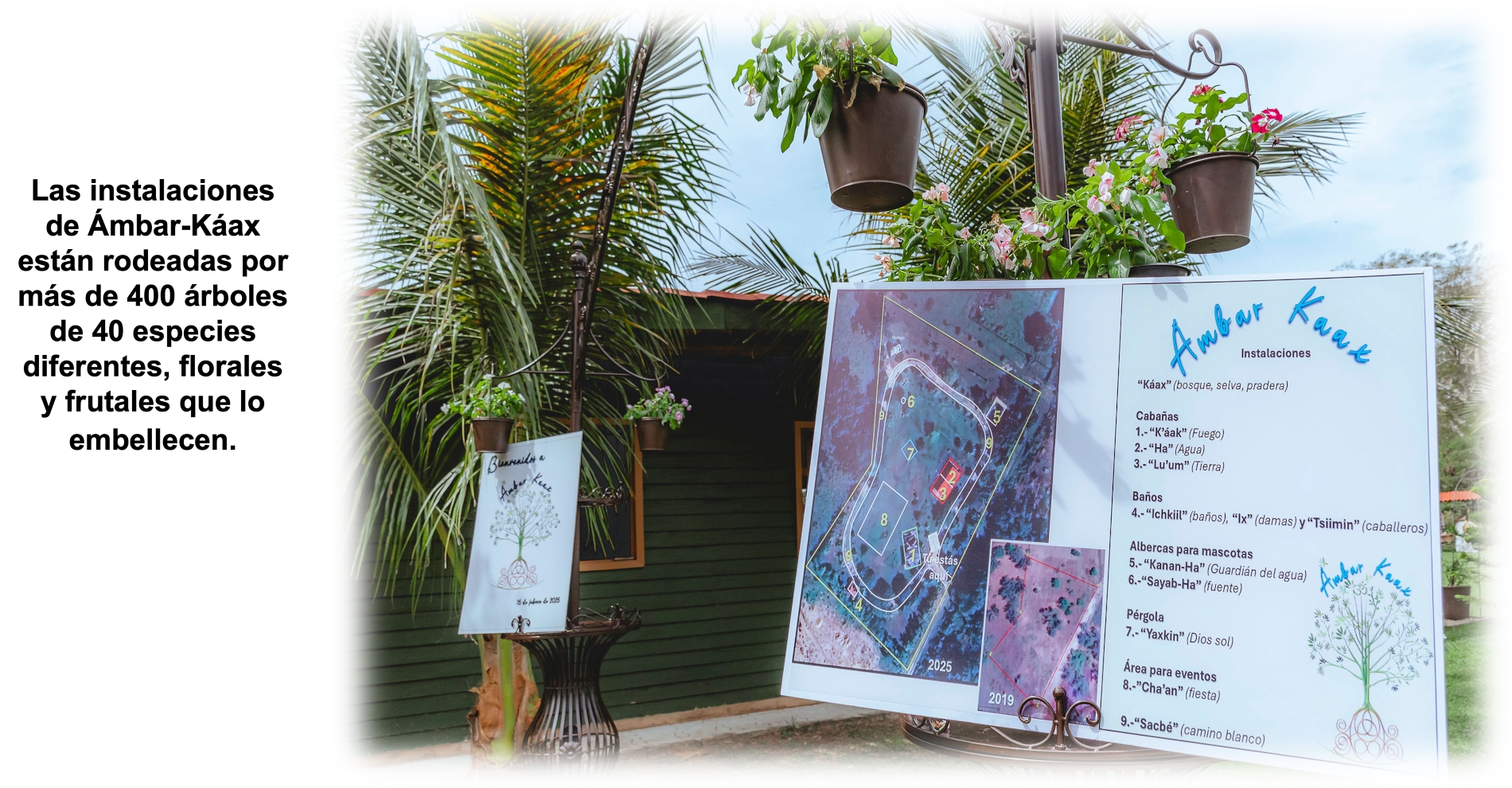 renta de palapa y cabañas