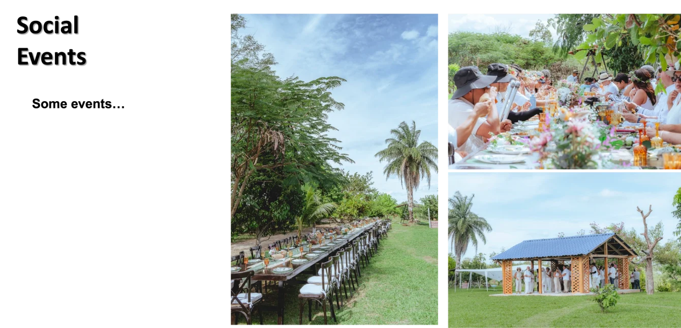 renta de salon para eventos en palenque