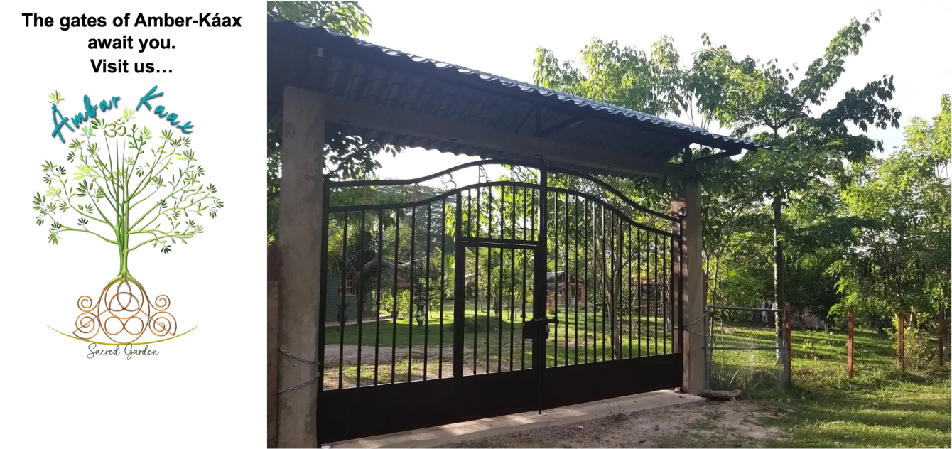 renta de palapa y cabañas